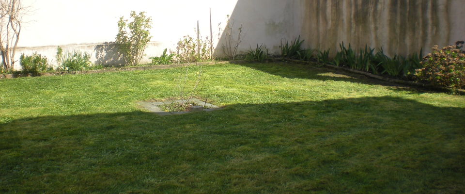 tonte de pelouse à Bourgoin Jallieu