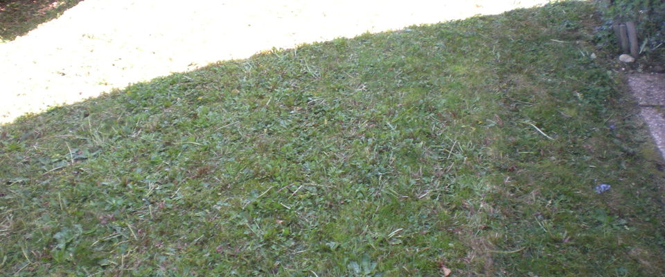 tondre l'herbe, entretenir la pelouse, le gazon votre espace vert à l'Isle d'Abeau, Villefontaine, services à la personne