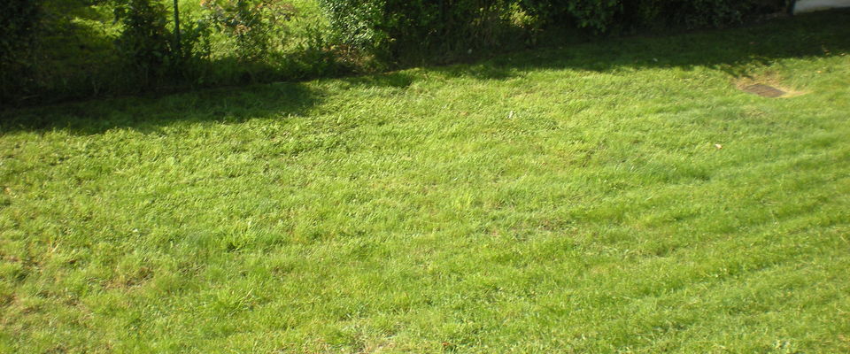 Pour votre jardin, tonte de pelouse à l'Isle d'Abeau, Bourgoin Jallieu