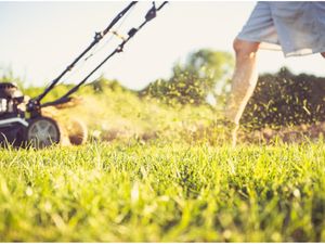 Nos astuces pour réduire les coûts de tonte et d'entretien de votre jardin : économies de ressources, services à la personne...