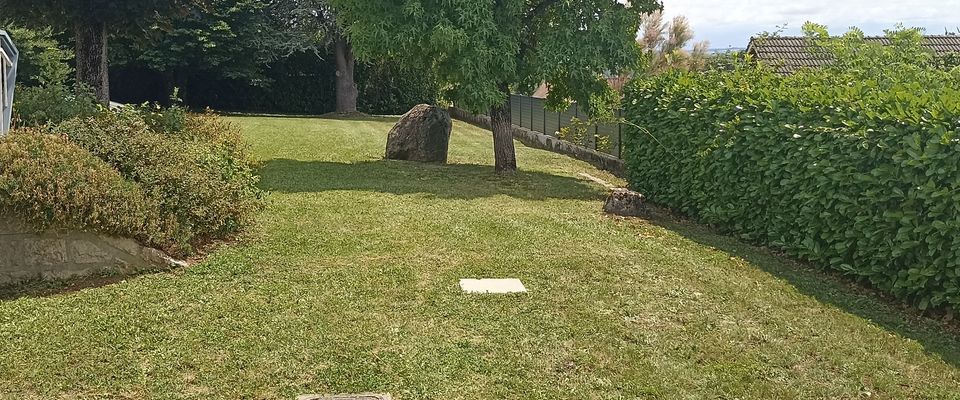 Tonte avec ramassage de l'herbe à Saint-Savin, Ruy et Bourgoin Dom'easy