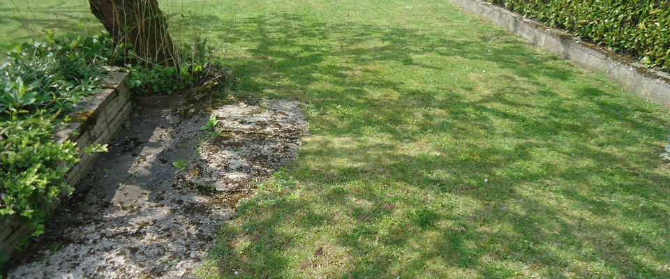 Débroussaillage et tonte de pelouse à Nivolas Vermelle et  Saint Alban de Roche en Isère 38