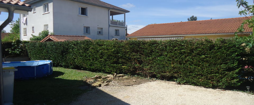 Elagage de haie à Bourgoin Jallieu, Saint Savin, élagueurs pro avec élagueuse.