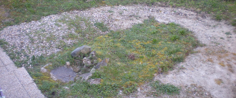 Aplanir une butte de terre et semer de la pelouse à Bourgoin jallieu