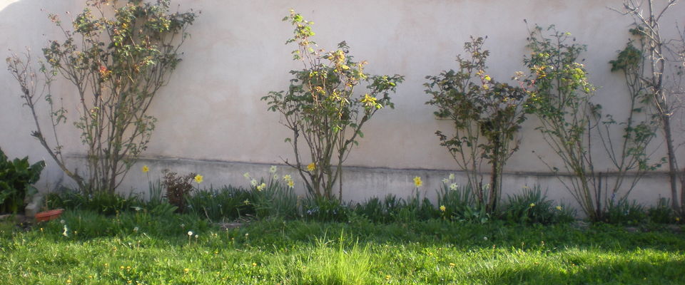 jardinage à Bourgoin Jallieu