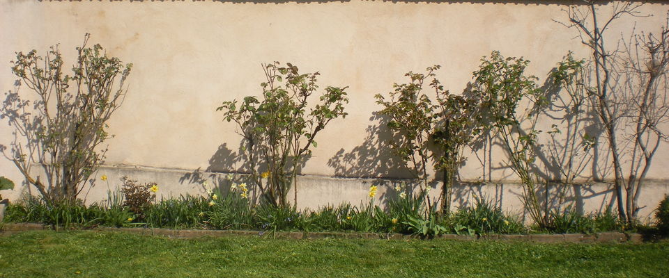 jardinage à Bourgoin Jallieu