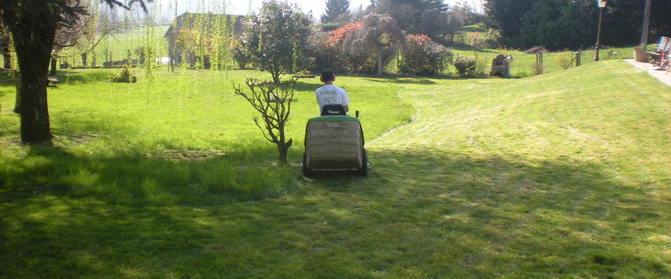 tonte de pelouse à ruy