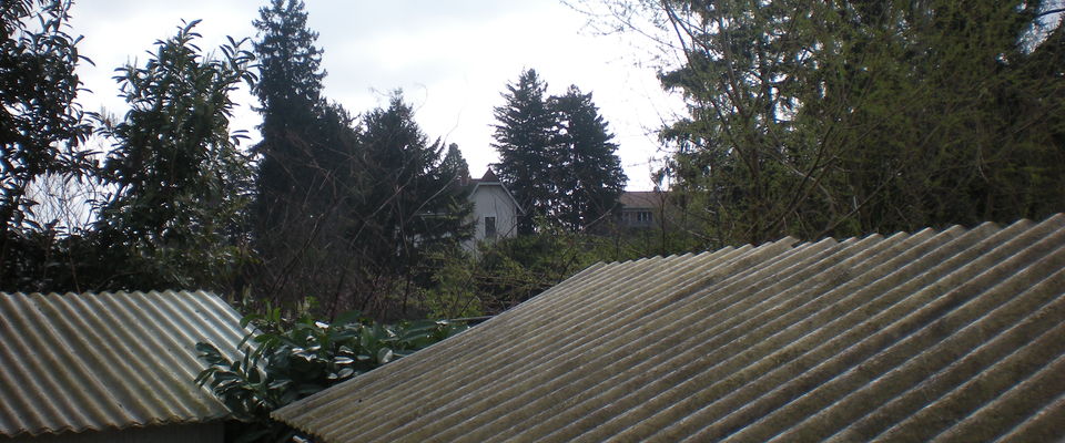 Couper un arbre et tailler un laurier à Bourgoin jallieu, l'Isle d'Abeau