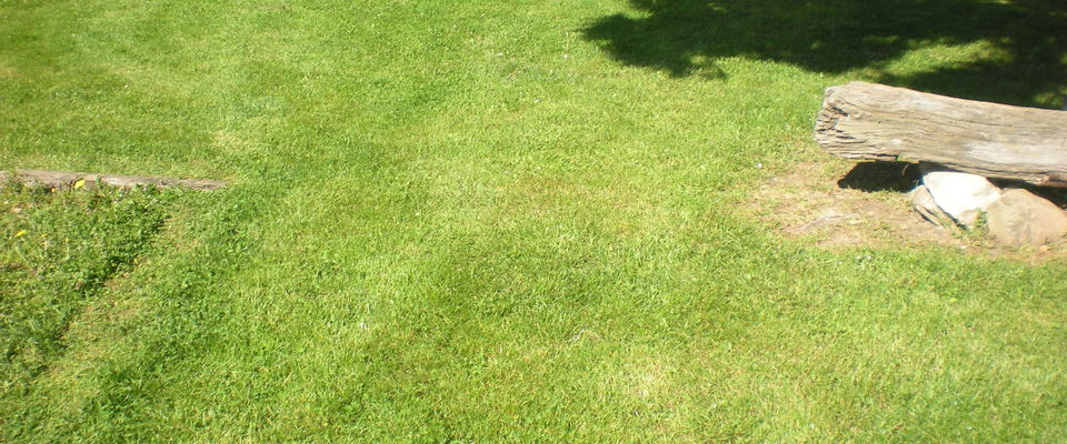 Tonte de gazon, d'herbe à Cessieu, la Tour du Pin.