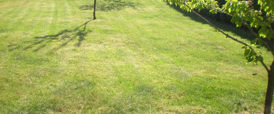 entretien de gazon, tonte de pelouse avec ramassage de l'herbe à Saint Savin, Bourgoin Jallieu