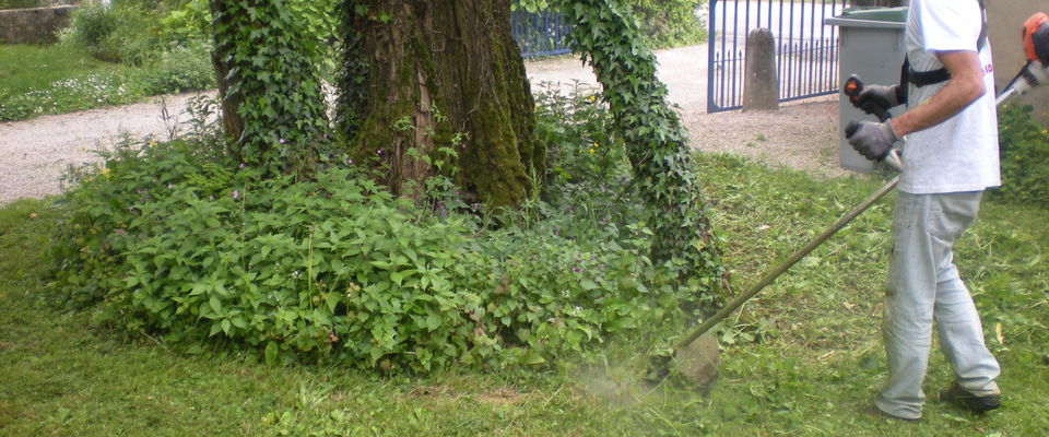 débroussaillage, Vénérieu, Bourgoin, l'Isle d'abeau, pour votre jardin