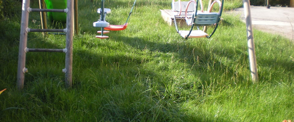 Pour votre jardin, tonte de pelouse à l'Isle d'Abeau, Bourgoin Jallieu