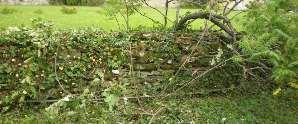 entretien de jardin Vénérieu, Bourgoin Jallieu, l'Isle d'Abeau services à la personne