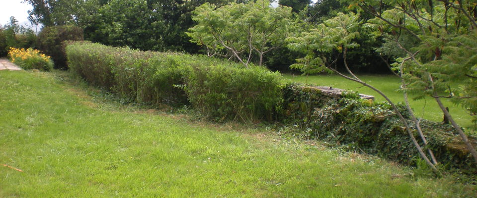 services à la personne entretien de jardin Crémieu, Bourgoin jallieu, Villefontaine Nord Isère