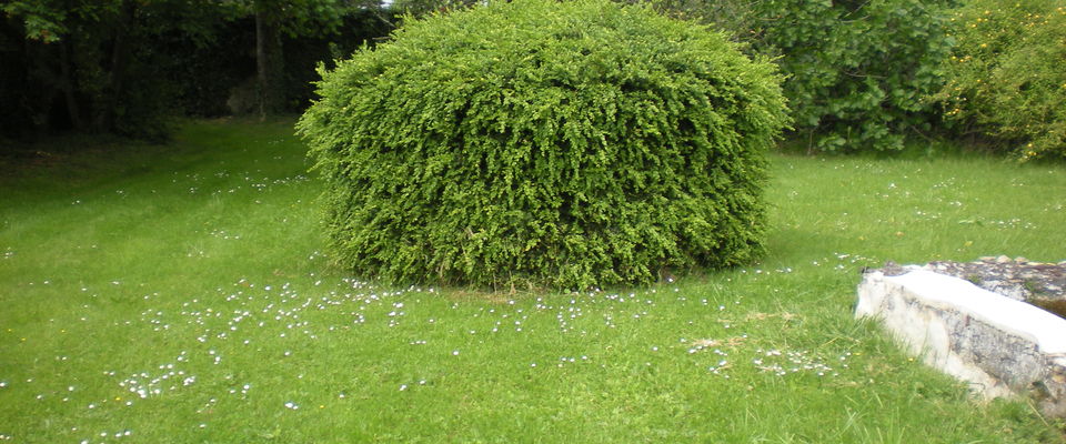 services à la personne entretien de jardin Crémieu, Bourgoin jallieu, Villefontaine Nord Isère