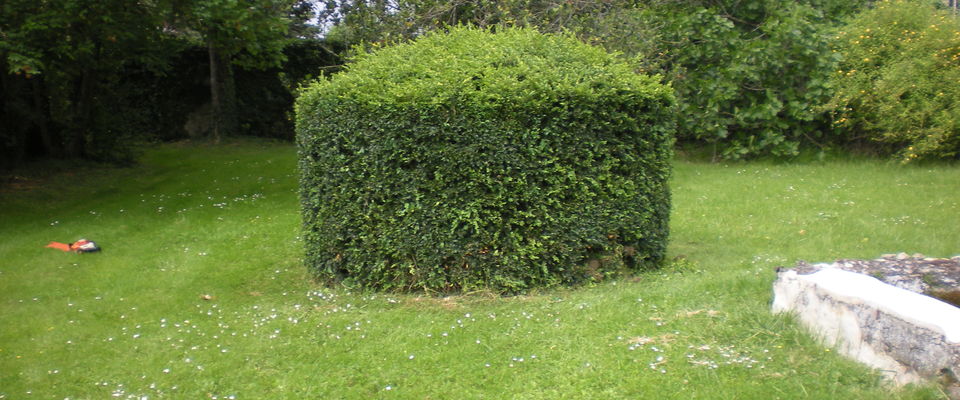 services à la personne entretien de jardin Crémieu, Bourgoin jallieu, Villefontaine Nord Isère