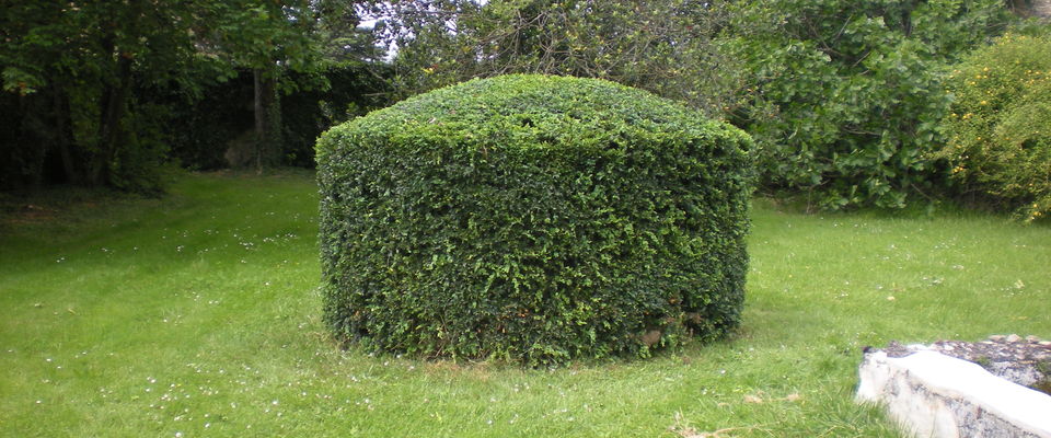 services à la personne entretien de jardin Crémieu, Bourgoin jallieu, Villefontaine Nord Isère