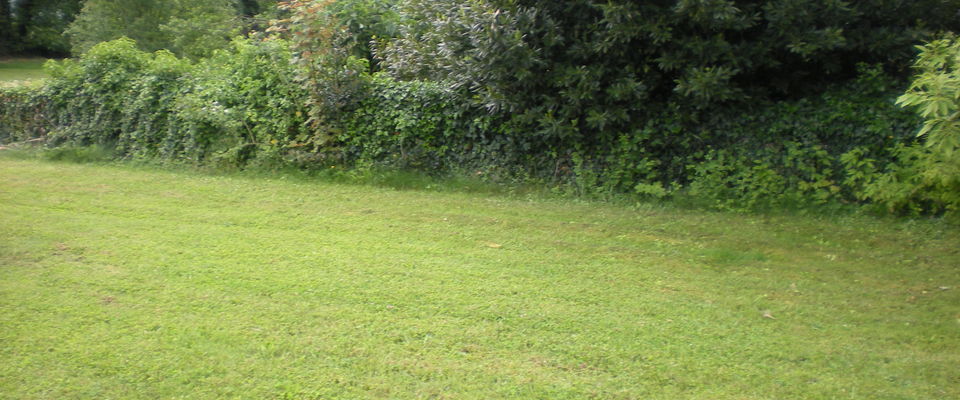 Entretien de jardin crémieu, l'Isle d'Abeau, Bourgoin Jallieu