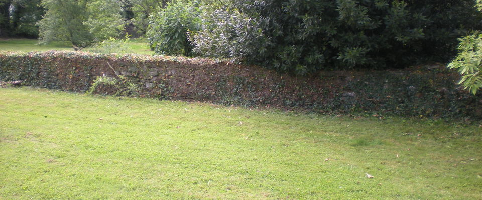 Entretien de jardin crémieu, l'Isle d'Abeau, Bourgoin Jallieu