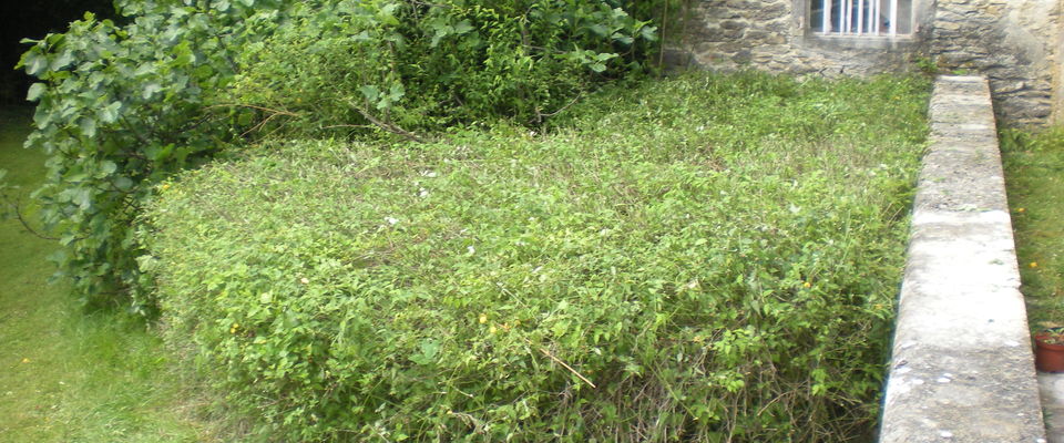 Entretien de jardin crémieu, l'Isle d'Abeau, Bourgoin Jallieu