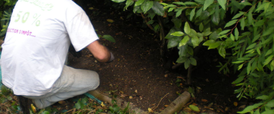 entretien de jardin Bourgoin Jallieu, l'Isle d'Abeau, la Tour du Pin