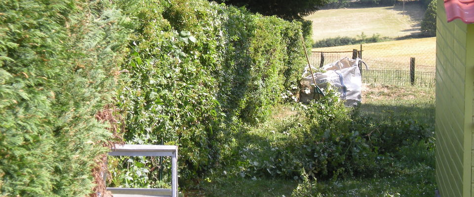 taille de haies piracanthas à heyrieux, villefontaine, l'Isles d'Abeau services à la personne