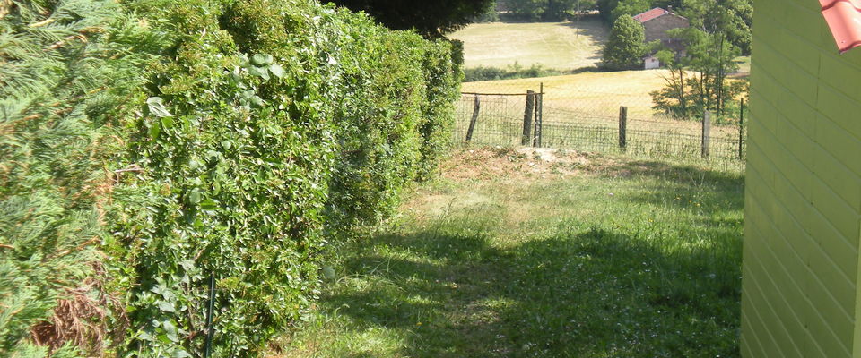 taille de haies piracanthas à heyrieux, villefontaine, l'Isles d'Abeau services à la personne