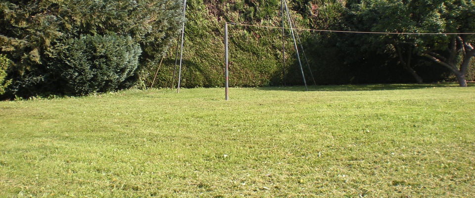 entretien de pelouse, tondre du gazon à saint victor de cessieu, la tour du pin, bourgoin, 50%