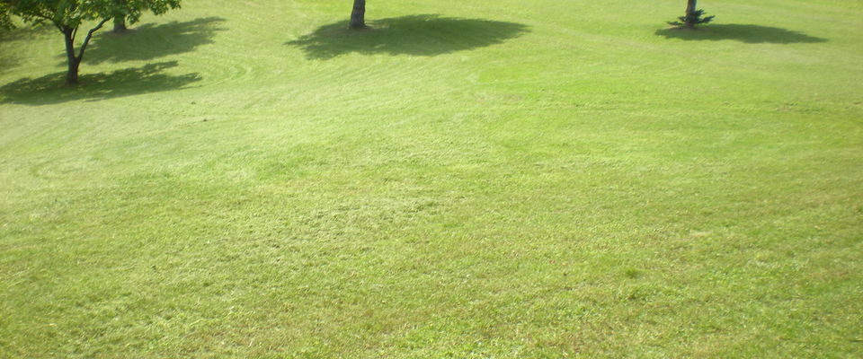 entretien jardin Bourgoin jallieu, services à la personne Dom'easy, Nord Isère