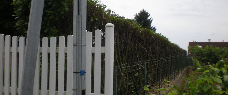 élagage de haie de lauriers Bourgoin, Chamagnieu, l'isle d'Abeau, services à la personne