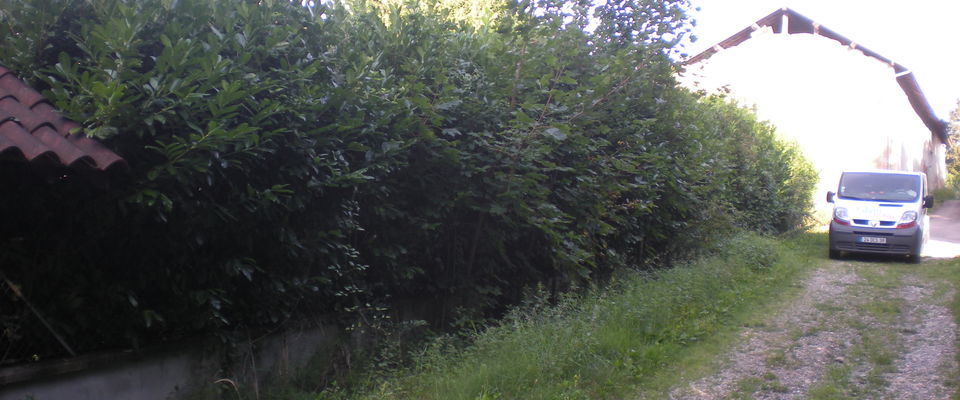 services à la personne Saint Jean de Bournay isère 38440, taille de haie, élagage de lauriers