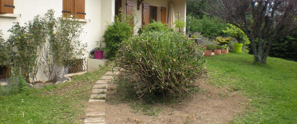 services à la personne Isère Bourgoin jallieu 38300, taille de haie, élagage forsythia