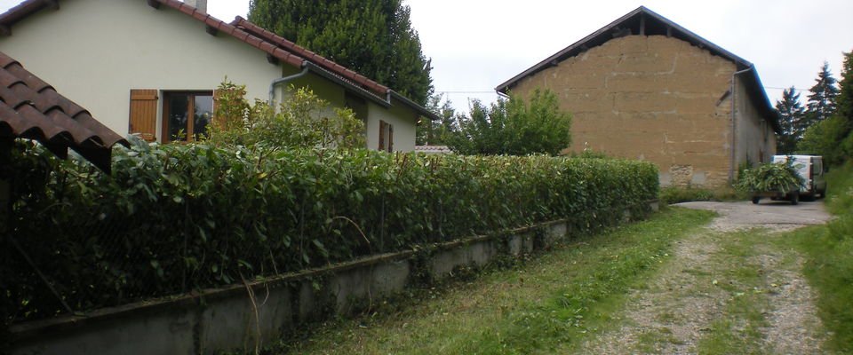 services à la personne Saint Jean de Bournay isère 38440, taille de haie, élagage de lauriers