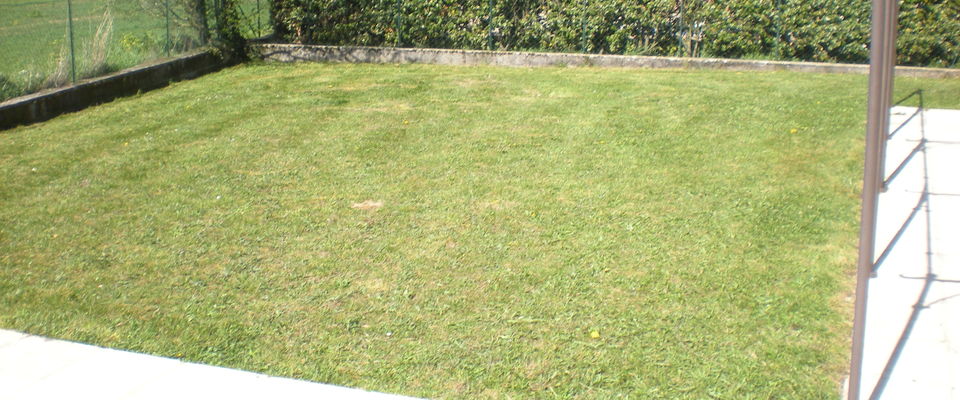 tonte de pelouse et débroussaillage d'herbe, Saint Savin, Bourgoin, Vénérieu par Dom'easy