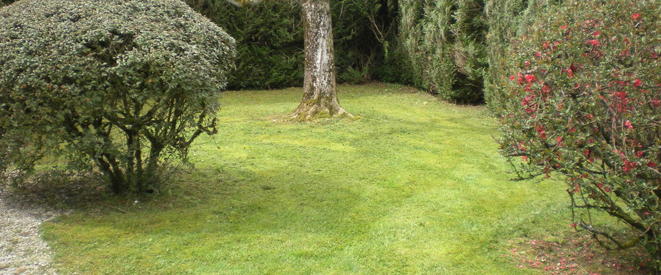 Tonte de pelouse sans ramassage de l'herbe et débroussaillage à Bourgoin Jallieu, Dom'easy