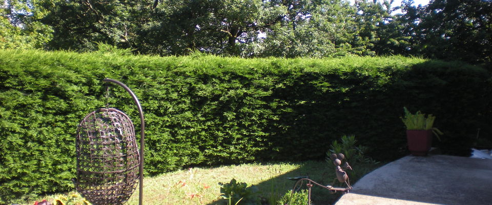 entretien de jardin à la Tour du Pin et Villefontaine par Dom'easy espaces verts