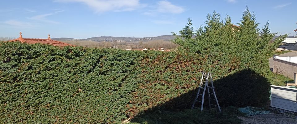 Elagage haie de cyprès Bourgoin Saint Savin Maubec 38300