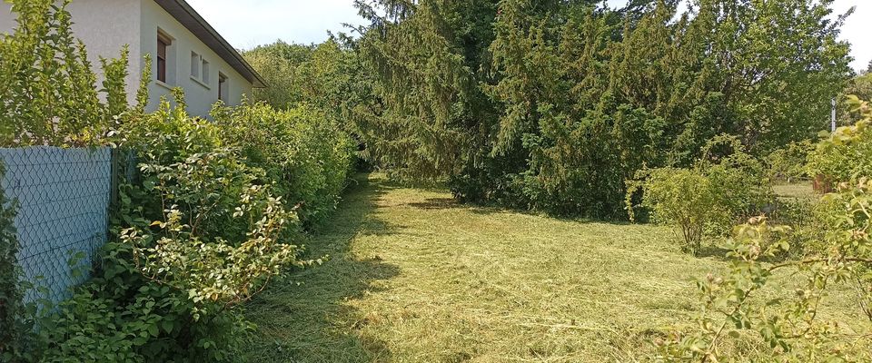 Débroussaillage d'un terrain avec ramassage de l'herbe sur Bourgoin par Dom'easy