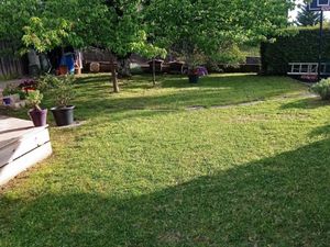 Tonte pelouse Saint Savin à côté de Bourgoin sans ramassage de l'herbe et débroussaillage des bordures