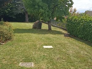 Tonte avec ramassage de l'herbe à Saint-Savin, Ruy et Bourgoin Dom'easy