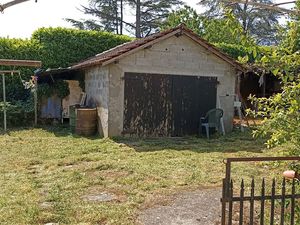 Débroussaillage d'un terrain avec ramassage de l'herbe sur Bourgoin par Dom'easy