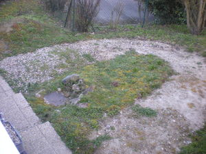 Aplanir une butte de terre et semer de la pelouse à Bourgoin jallieu