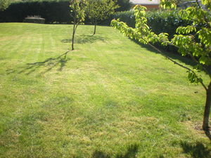 entretien de gazon, tonte de pelouse avec ramassage de l'herbe à Saint Savin, Bourgoin Jallieu