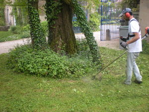 débroussaillage, Vénérieu, Bourgoin, l'Isle d'abeau, pour votre jardin