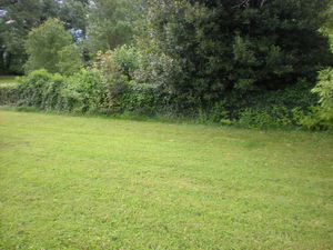 Entretien de jardin crémieu, l'Isle d'Abeau, Bourgoin Jallieu