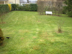 tonte de pelouse et débroussaillage herbe à Frontonas, Bourgoin, L'isle d'Abeau par Dom'easy entreprise espace vert