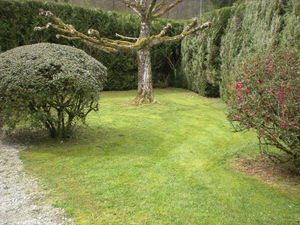 Tonte de pelouse sans ramassage de l'herbe et débroussaillage à Bourgoin Jallieu, Dom'easy