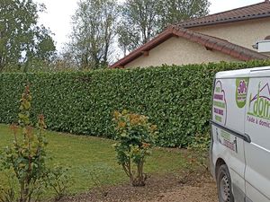 Taille d'entretien d'une haie de lauriers à côté de Bourgoin-Jallieu à Chezneuve 38300