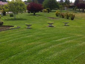 Entretien d'espace vert et entretien de jardin à Ruy, Maubec et Domarin part Dom'easy